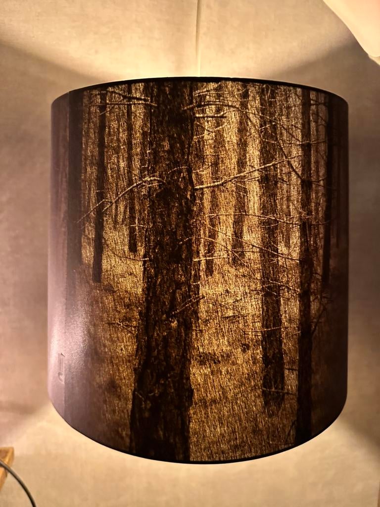 Nicolette Brunklaus lampen, Ophalen, Zo goed als nieuw, Rond, 25 tot 50 cm