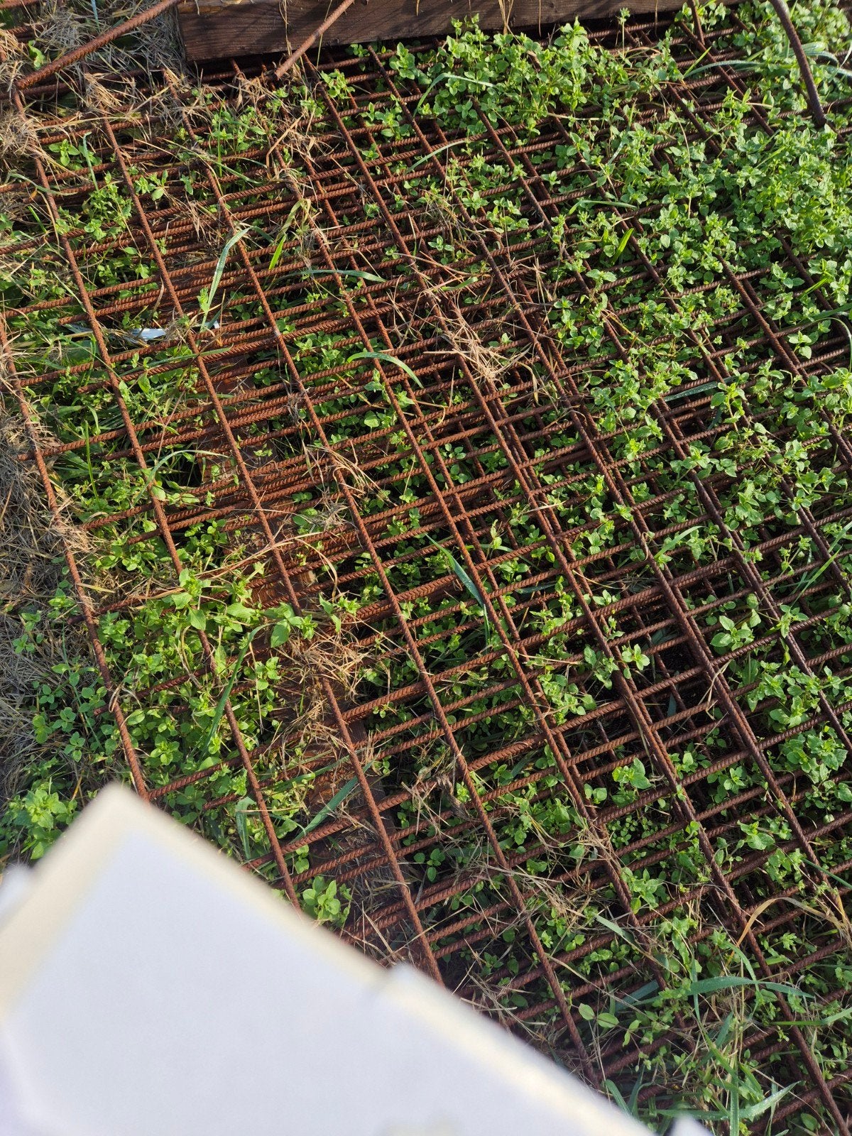 6 stuks  bouwstaalmaten 6x2.5 m voor diverse projecten, Ophalen, Gebruikt, 250 mm of meer, Overige typen