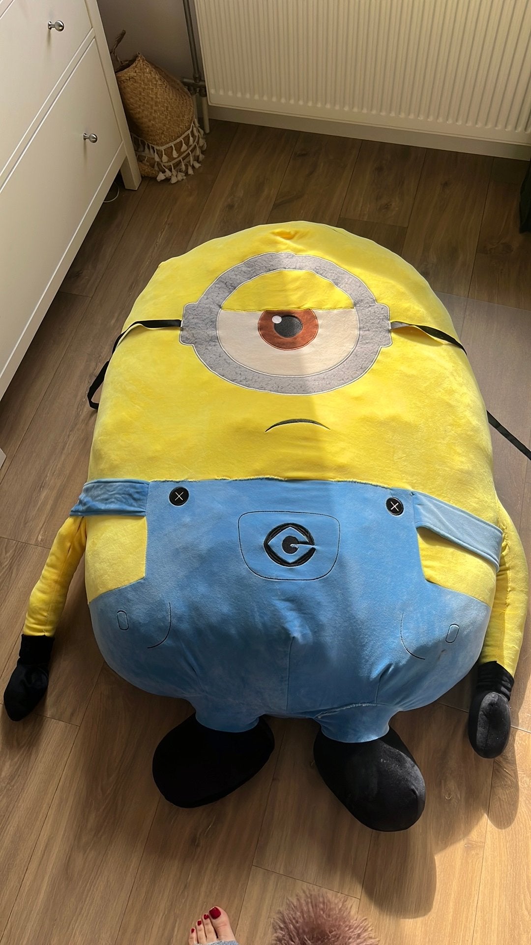 Zitzak/megaknuffel minion, Ophalen, Gebruikt