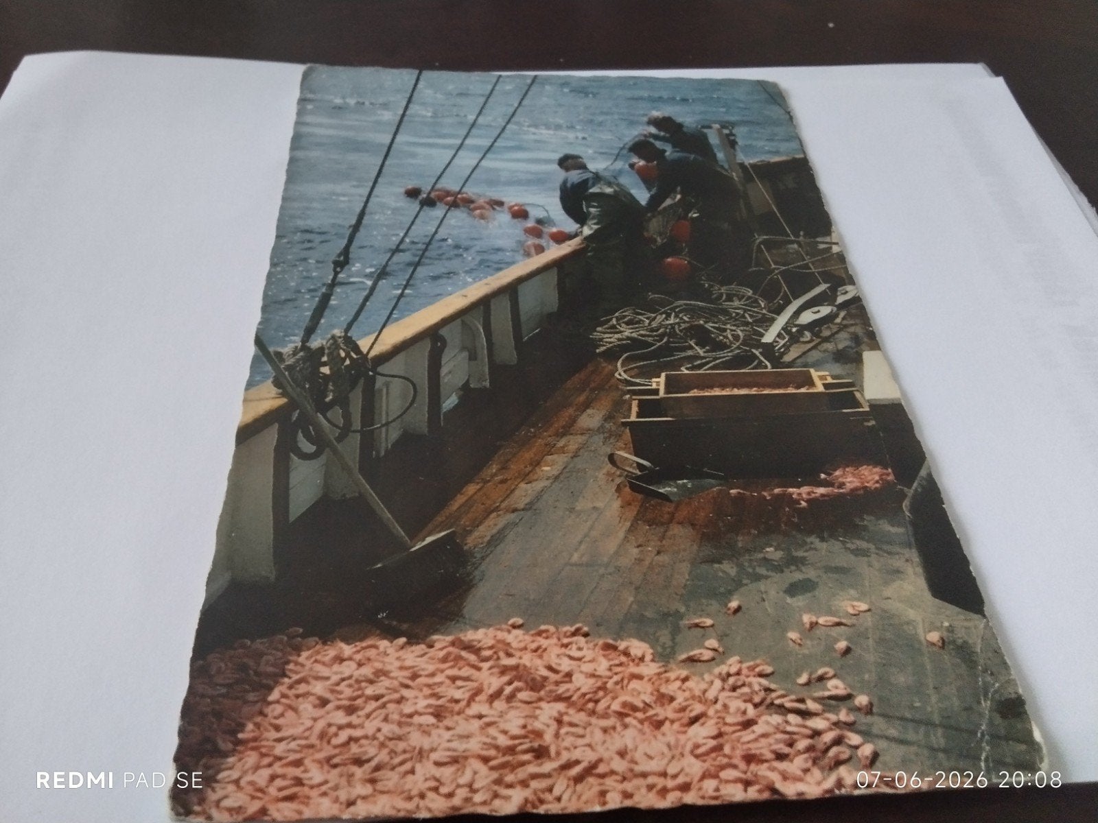 Oude ansichtkaart: Vissersboot met garnalen (Zweden), Ophalen of Verzenden