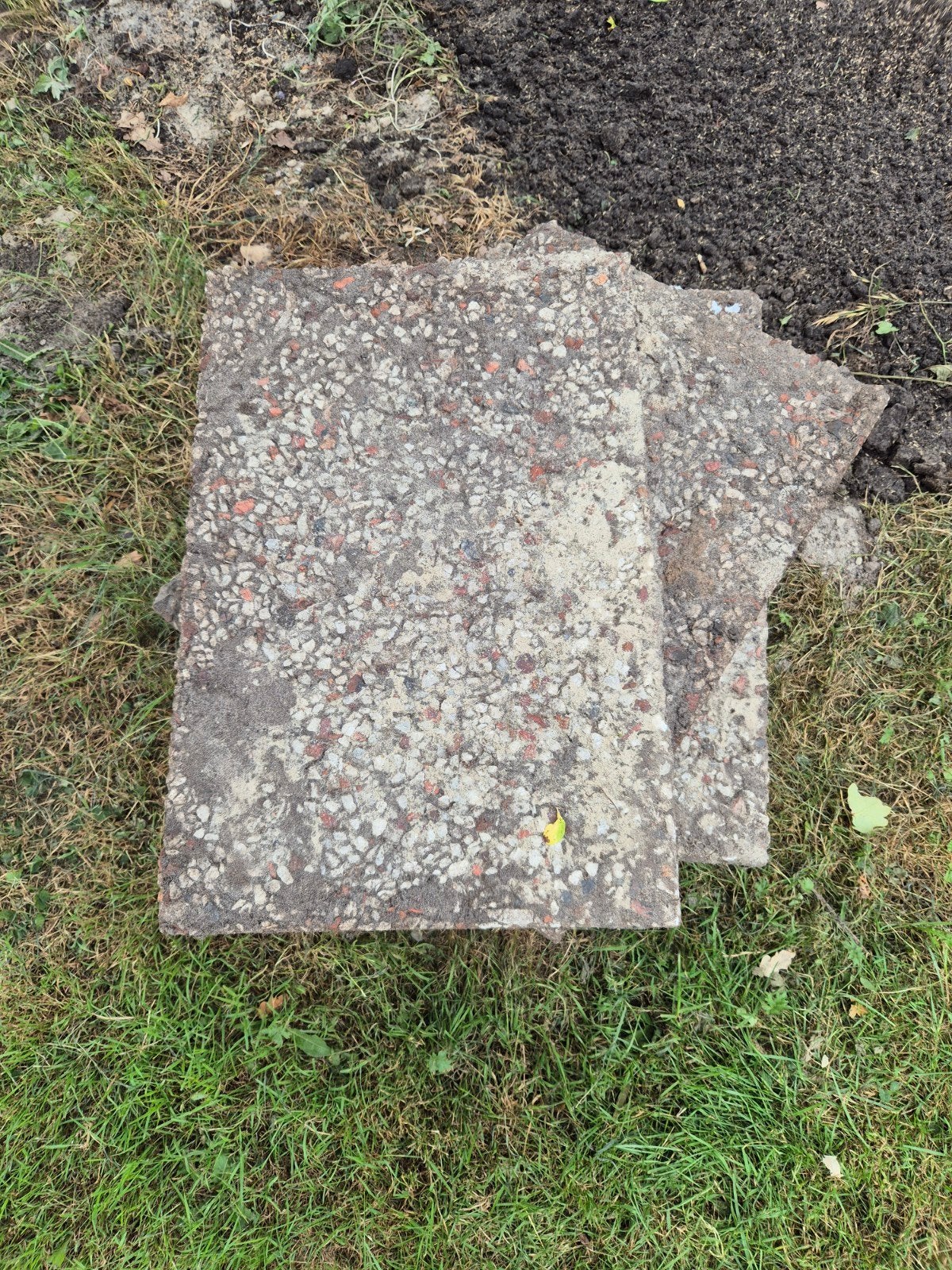 Gratis: gebruikte terrastegels van beton, 8 stuks, Ophalen, Gebruikt, Minder dan 5 m², Beton