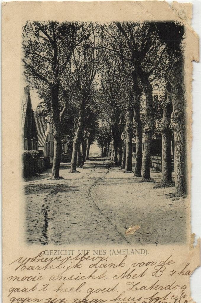 Gezicht uit Nes [ameland]. - B-keus - 1905 gelopen, Verzamelen, Ophalen of Verzenden, Voor 1920, Gelopen, Friesland