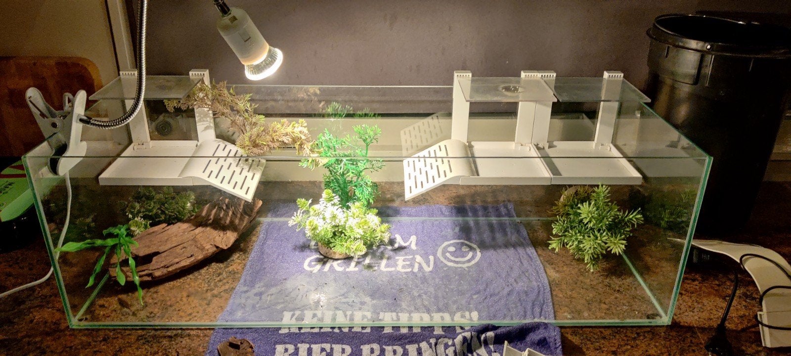 Schildpadden aquarium 80*30*24, Ophalen, Minder dan 10 m², Laminaat