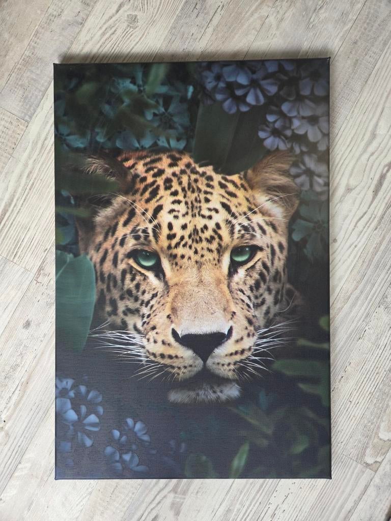 Mooie canvas schilderijen van luipaarden en leeuw., Huis en Inrichting, Ophalen, 50 tot 75 cm, Zo goed als nieuw, Schilderij