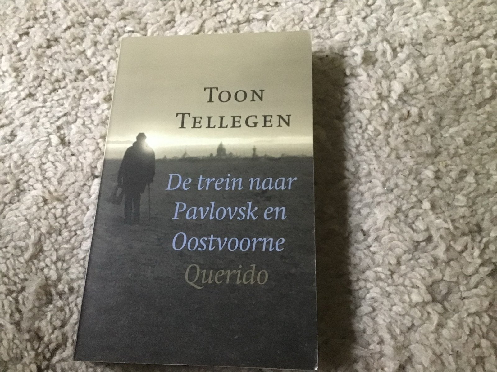 De trein naar Pavlovsk en Oostvoorne - Toon  tellegen giro55, Ophalen of Verzenden, Gelezen