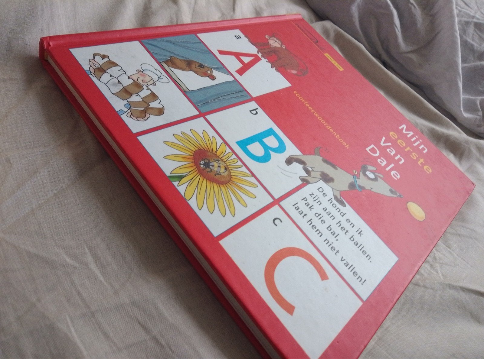 Mijn eerste Van Dale - voorleeswoordenboek, Gelezen, Liesbeth Schlichting, Betry Sluyzer, Marja Verburg, Ophalen of Verzenden
