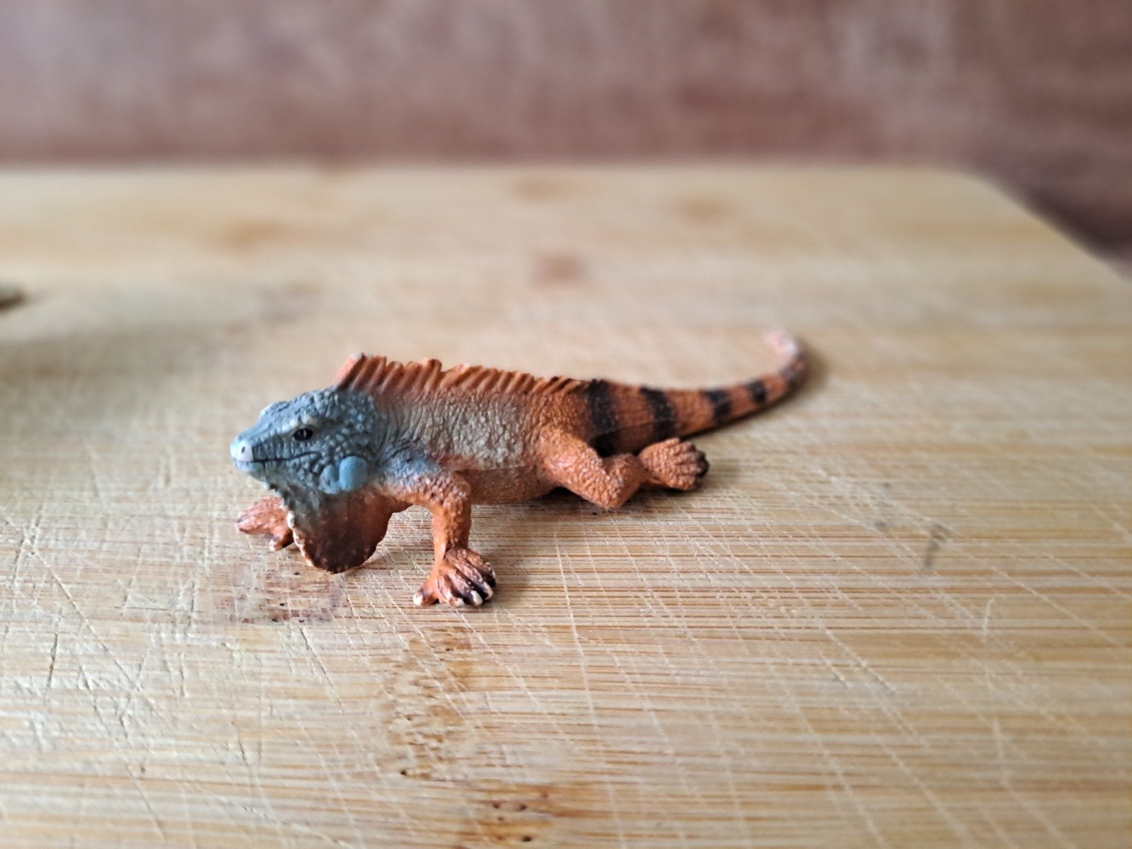schleich leguaan, Slang, 0 tot 2 jaar