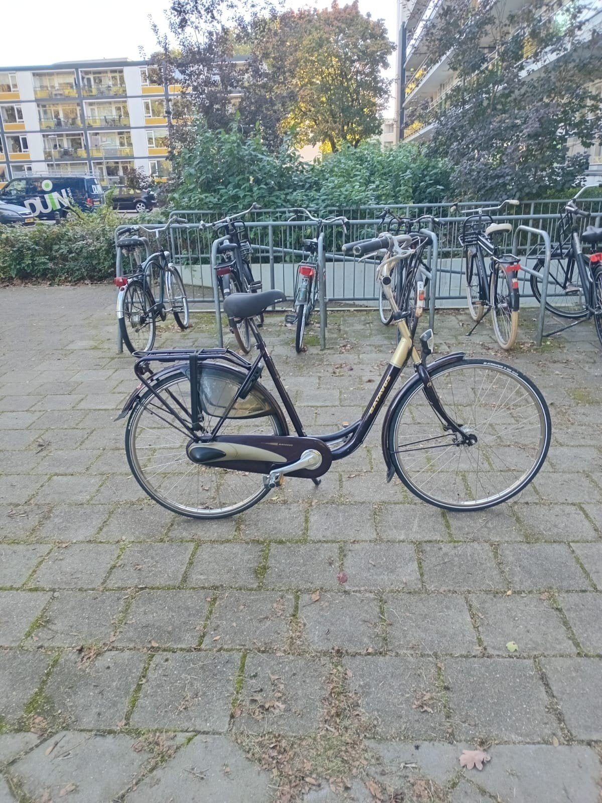 Een mooie batavus damesfiets te koop, 56 cm of meer, Ophalen, Gebruikt, Versnellingen