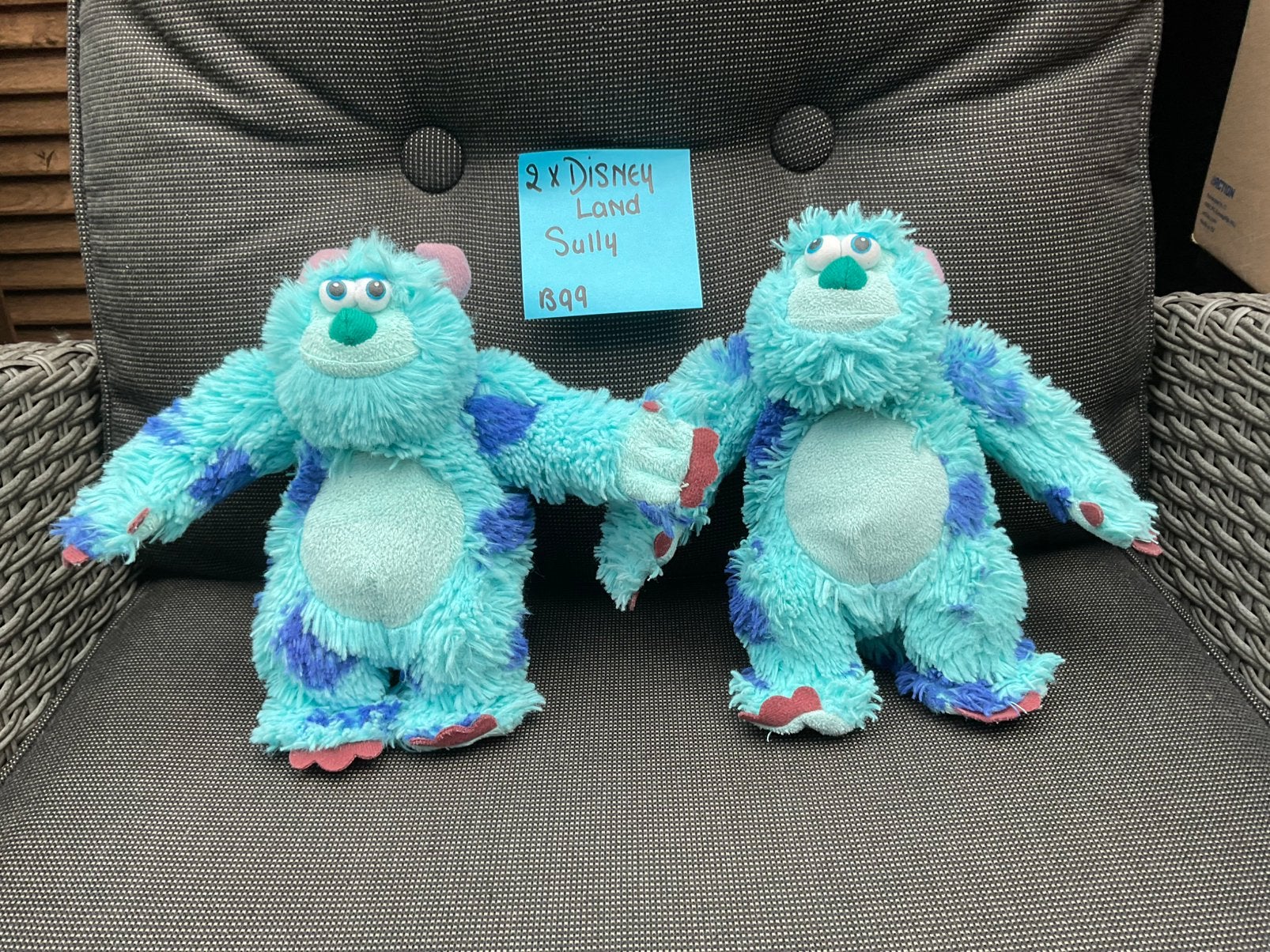 2 zgan niet kapot, Disneyland Parijs Sully knuffels 20cm, Ophalen, Zo goed als nieuw, Knuffel