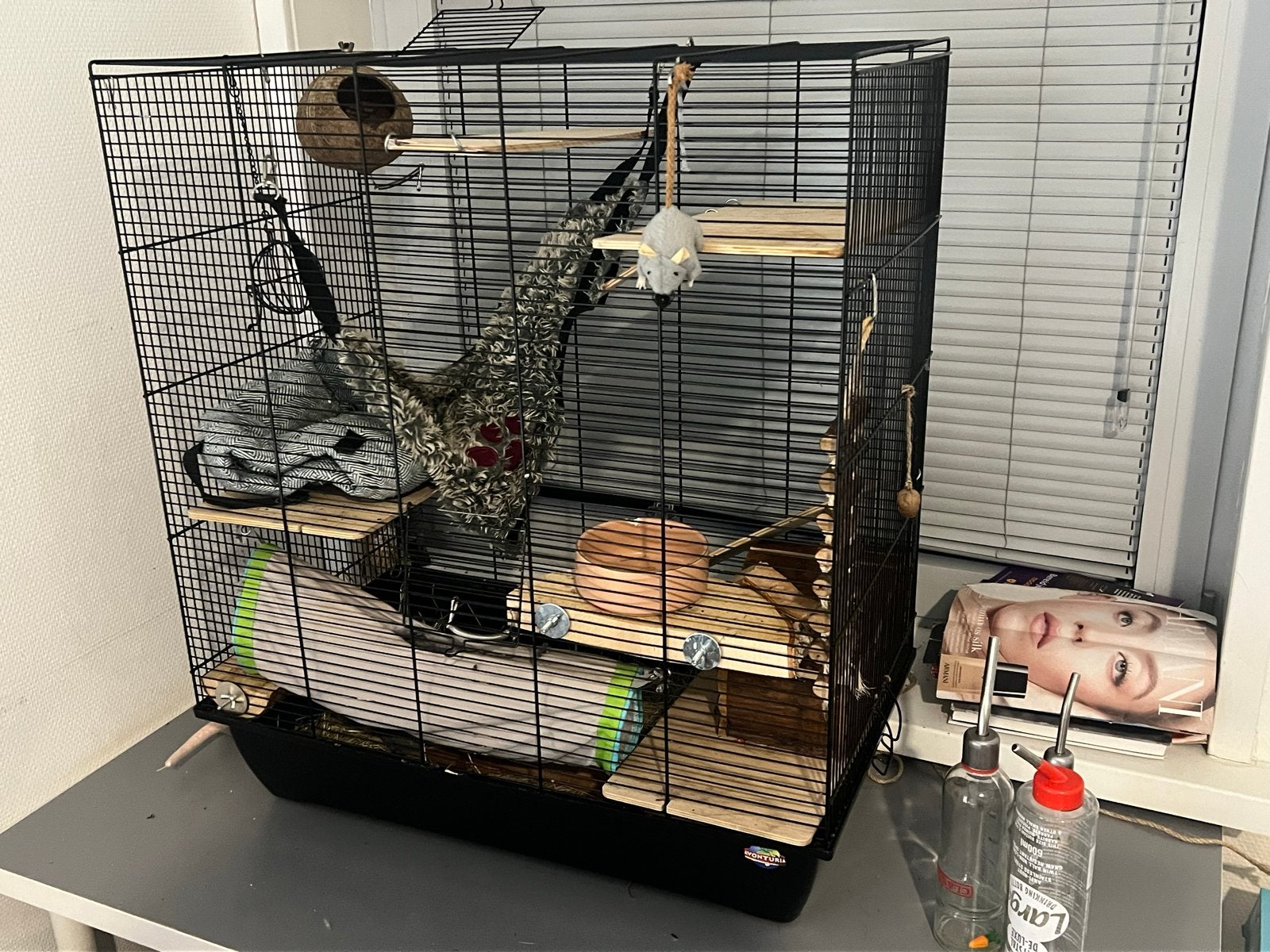 Een kooi voor 2 ratten met diverse verstelmogelijkheden, Dieren en Toebehoren, Knaagdieren en Konijnen | Toebehoren, Ophalen, Gebruikt