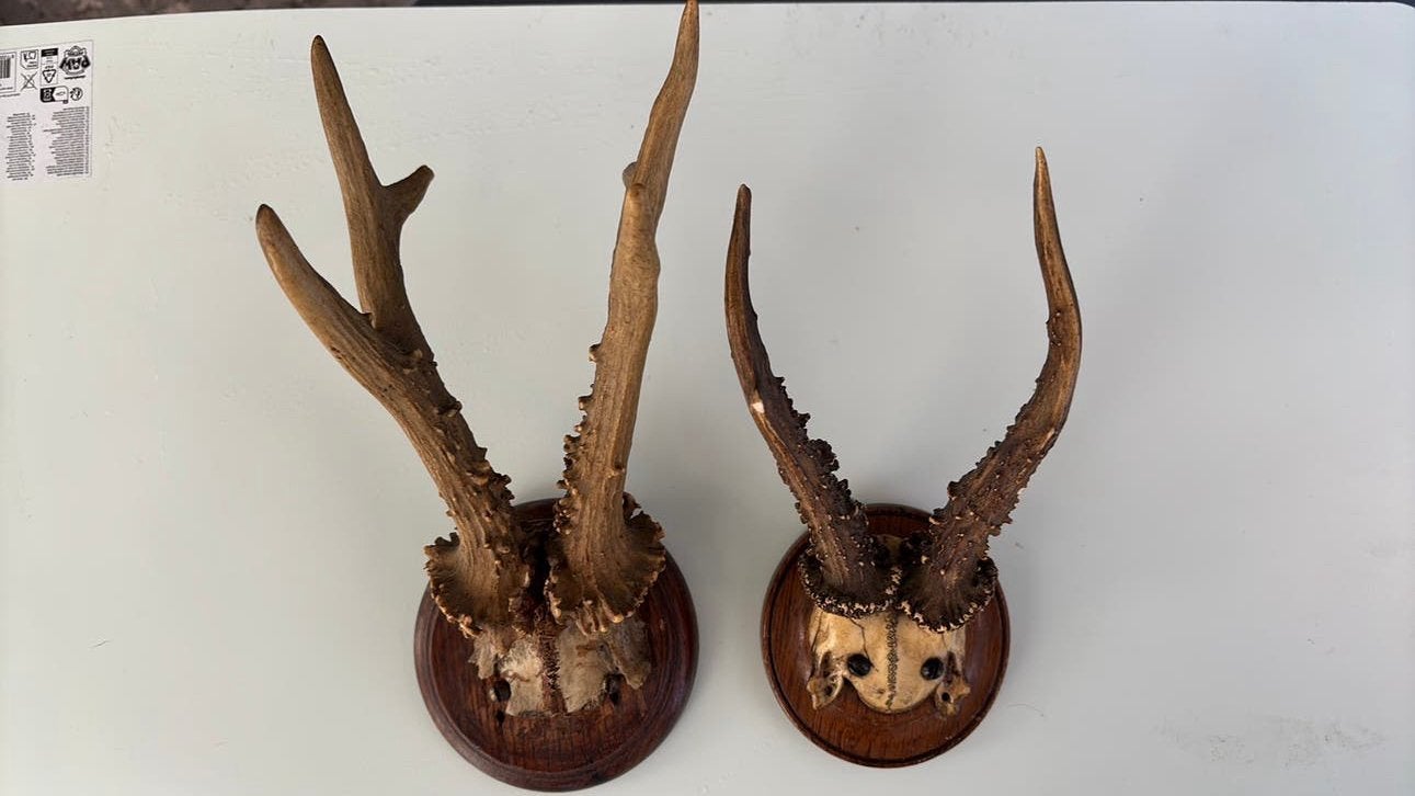 Set reegewei 1, Ophalen of Verzenden, Zo goed als nieuw, Beeldje of Figuurtje