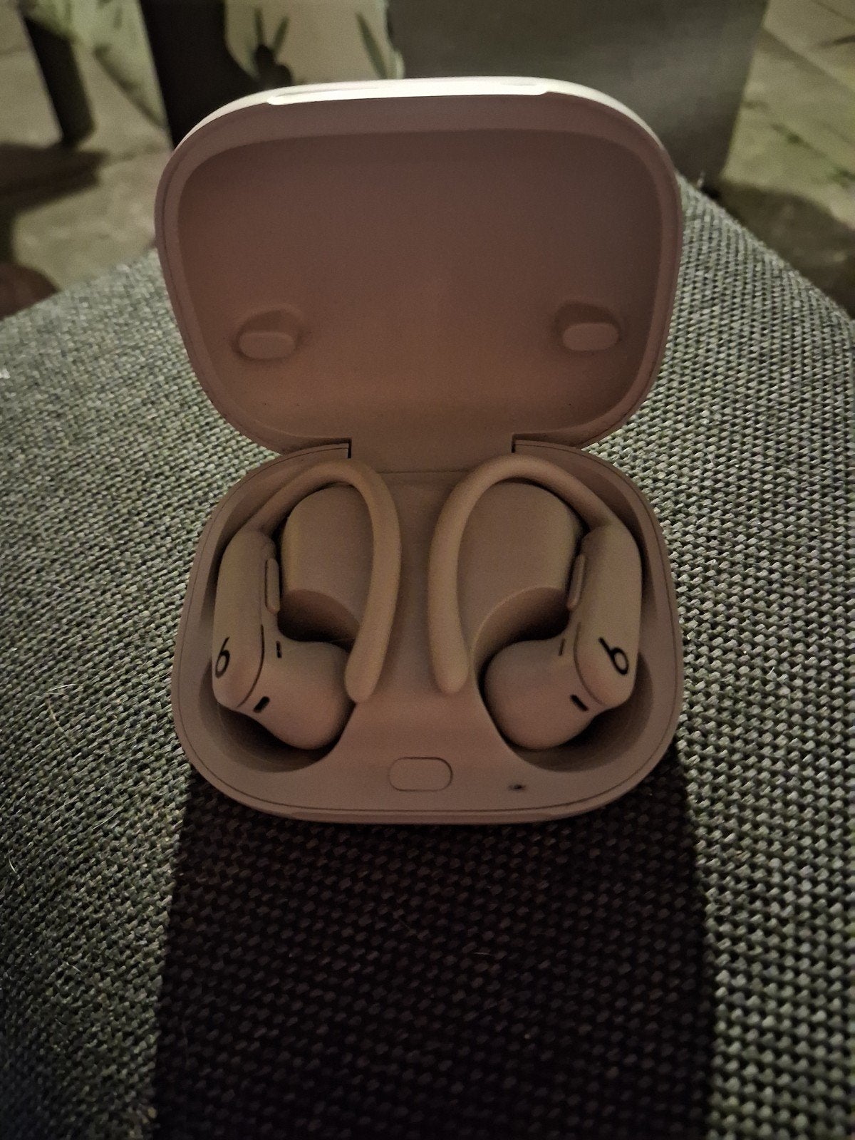 Beats Powerbeats Pro - Draadloze In-ear Koptelefoon, Audio, Tv en Foto, Ophalen, In-ear, Beats, Zo goed als nieuw