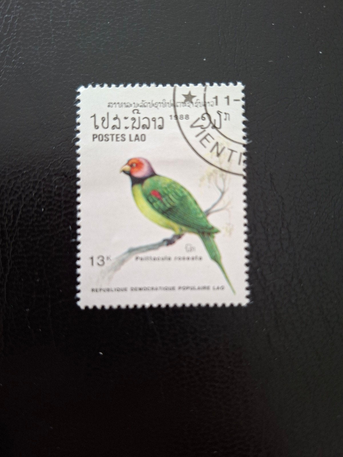 Laos. Vogel., Ophalen of Verzenden, Dier of Natuur