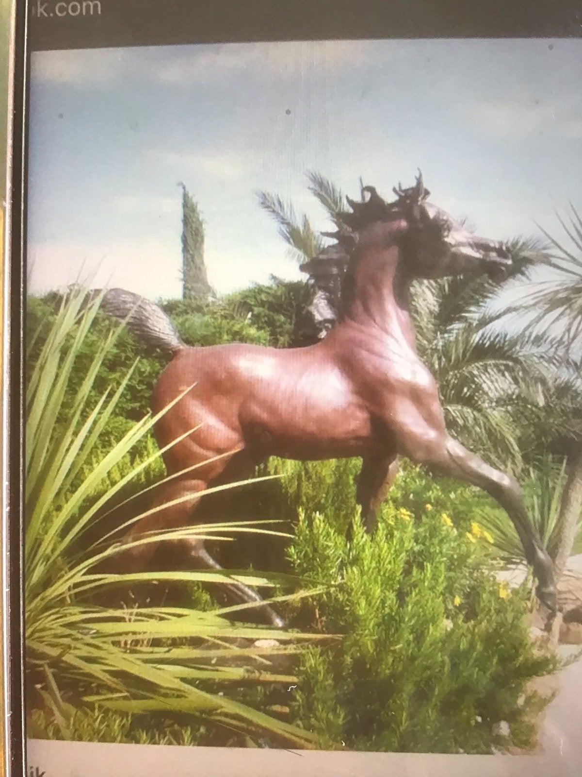 Groot bronzen paard van Carry van Dansink, Ophalen, 1 meter - 2 meter, Beeld, Bruin