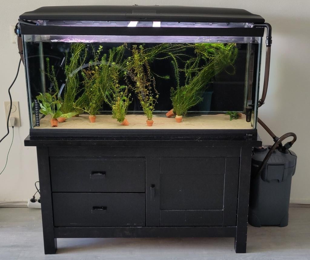 Gebruikte staat aquarium 230L, Dieren en Toebehoren, Vissen | Aquaria en Toebehoren, Gebruikt, Leeg aquarium, Inclusief deksel