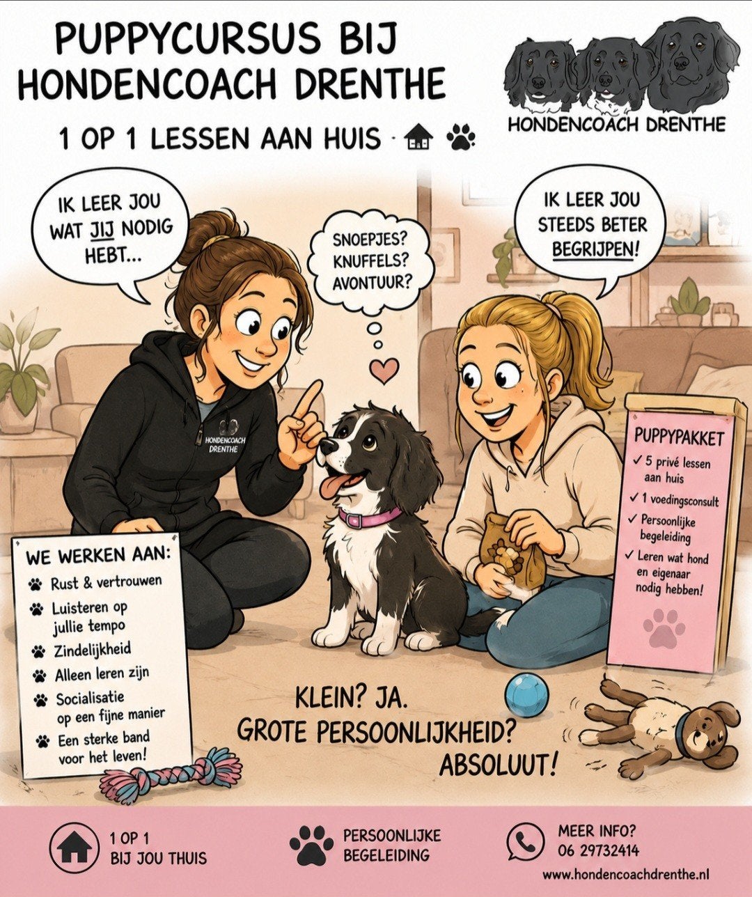 Hondencoach Drenthe 1 op 1 begeleiding aan huis, Trimmen of Verzorging