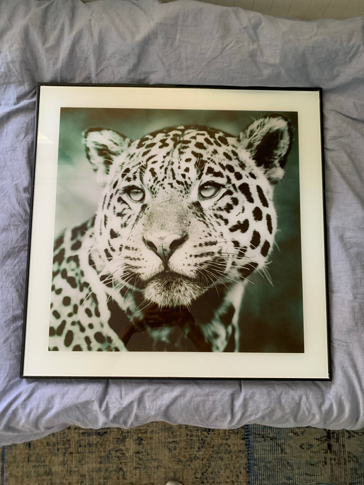 Prachtige ingelijste print van een jaguar, Ophalen, 50 – 75, 50 tot 75 cm, Print