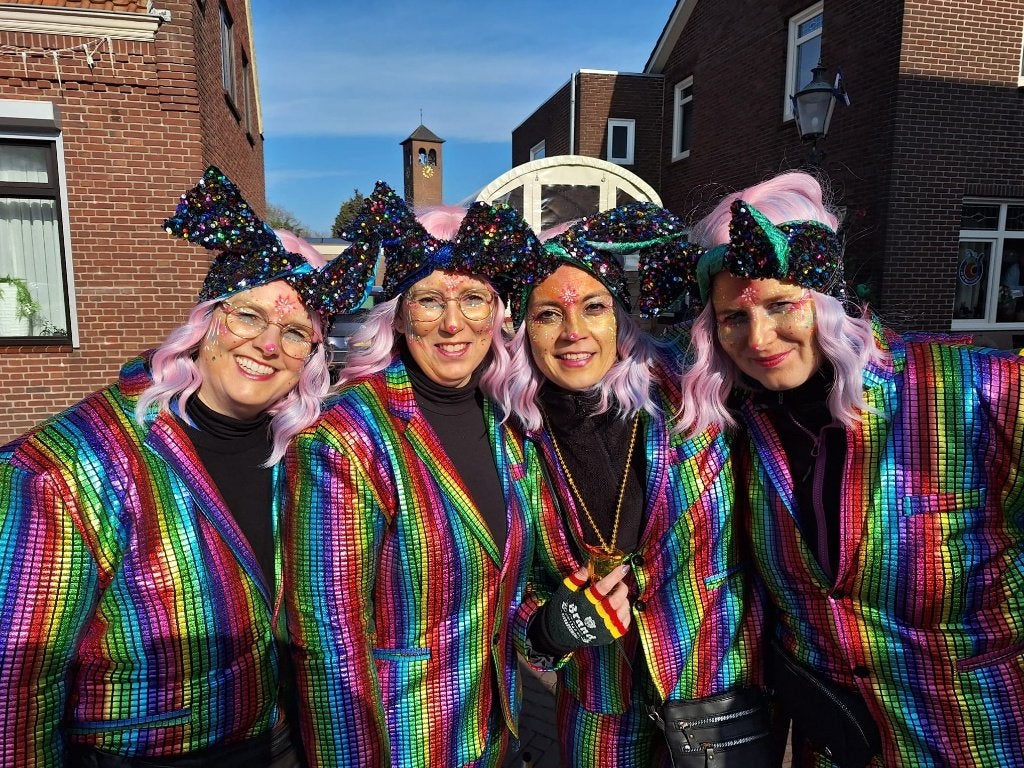 13 blond/roze/blauwe pruiken, Kleding | Dames, Ophalen of Verzenden, Zo goed als nieuw, Carnaval, Accessoires