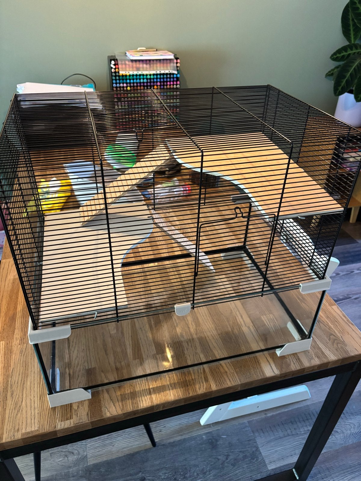 Hamsterkooi met extra’s, Dieren en Toebehoren, Knaagdieren en Konijnen | Hokken en Kooien, Kooi, Minder dan 75 cm, Ophalen, Minder dan 60 cm