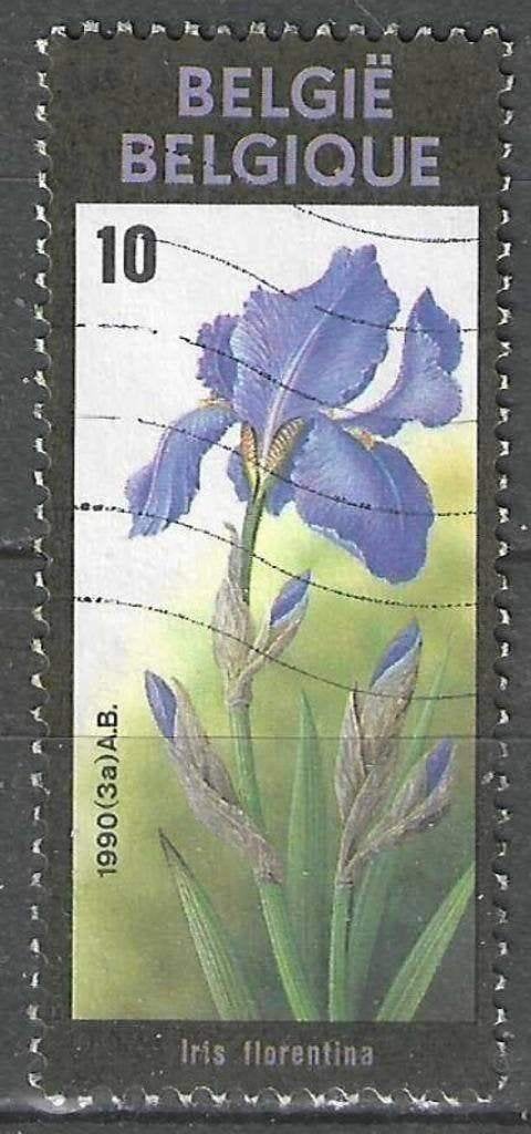 Belgie 1990 - Yvert/OBP 2357 - Gentse Floralien VIII (ST), Verzenden, Gestempeld