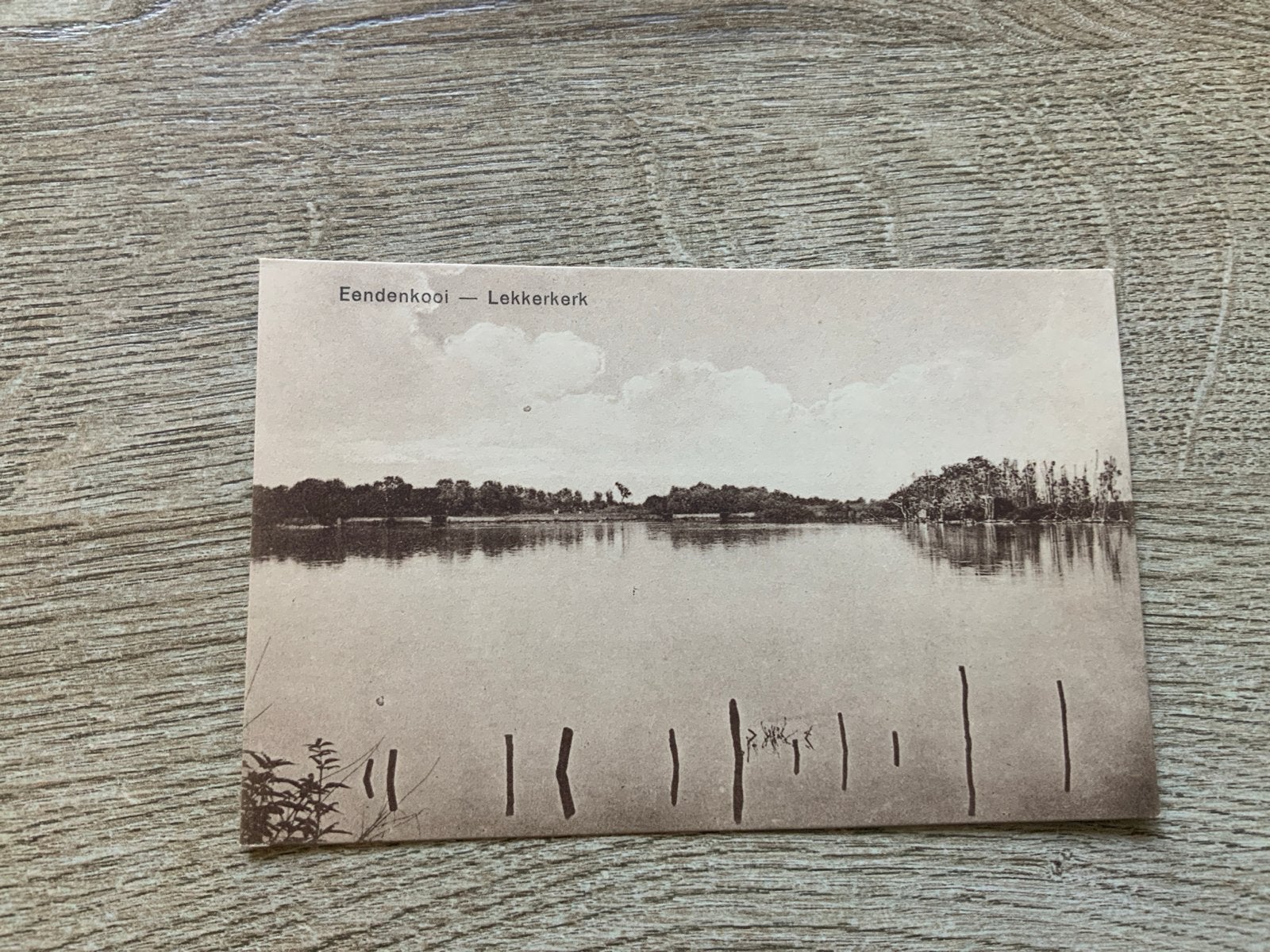 Eendenkooi - Lekkerkerk (Zuid-Holland), Verzamelen, Ophalen of Verzenden, Voor 1920, Gelopen, Zuid-Holland