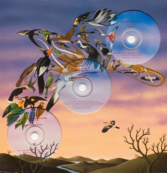 Cd Singles BoxSet Talk Talk The Laughing Stock ZELDZAAM, Gebruikt, Boxset, Pop, Speciale editie
