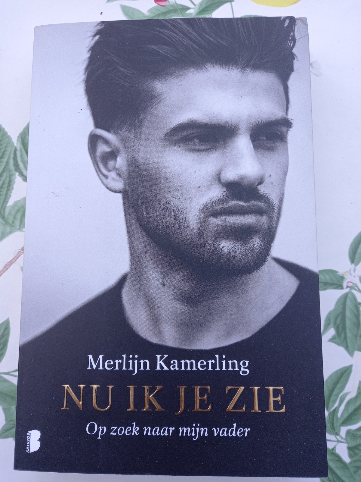 M10 Merlijn Kamerling - Nu ik je zie, Boeken, Ophalen of Verzenden, Zo goed als nieuw, Merlijn Kamerling