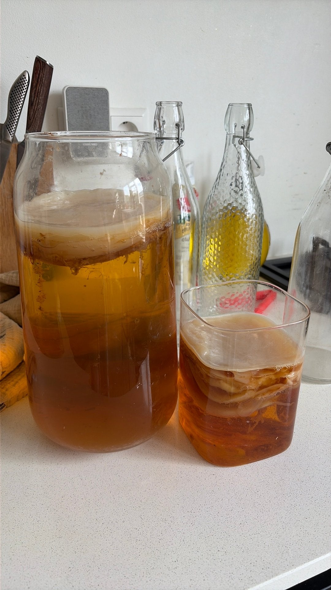 Kombucha scoby met startervloeistof, Diversen, Ophalen