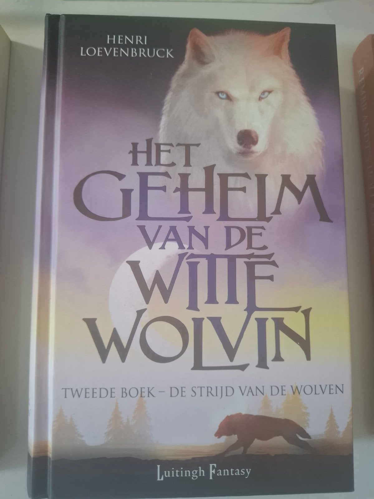 Het Geheim van de Witte Wolvin - Tweede Boek, Ophalen of Verzenden