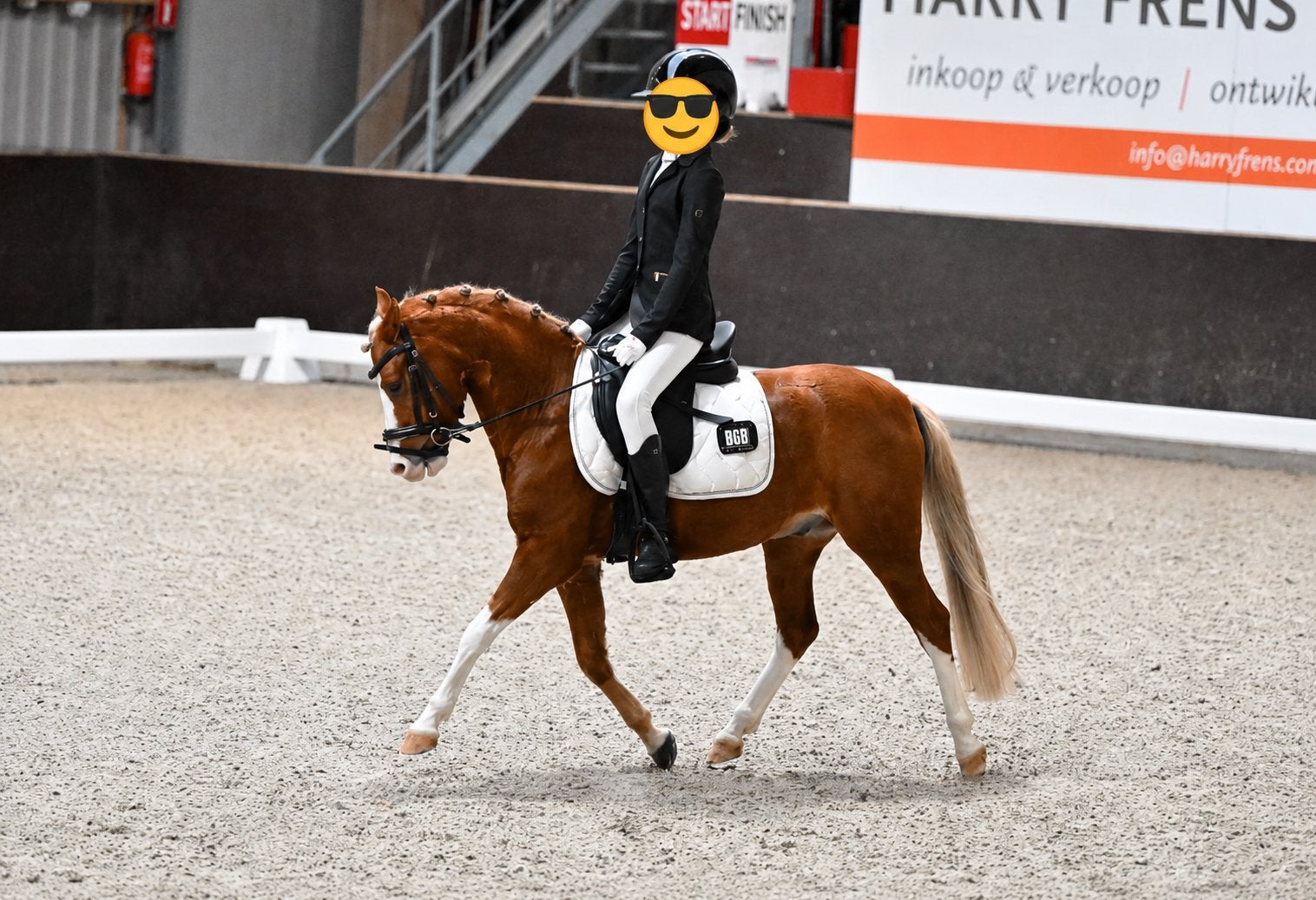 Te koop super mooie A sportpony, Ruin, B, A pony (tot 1.17m), 3 tot 6 jaar
