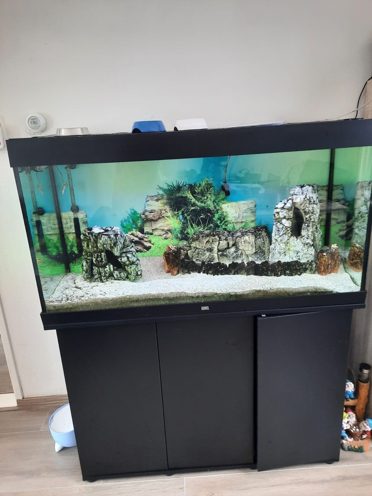 Juwel aqwarium compleet 120x 50x66, Dieren en Toebehoren, Vissen | Aquaria en Toebehoren, Ophalen, Leeg aquarium
