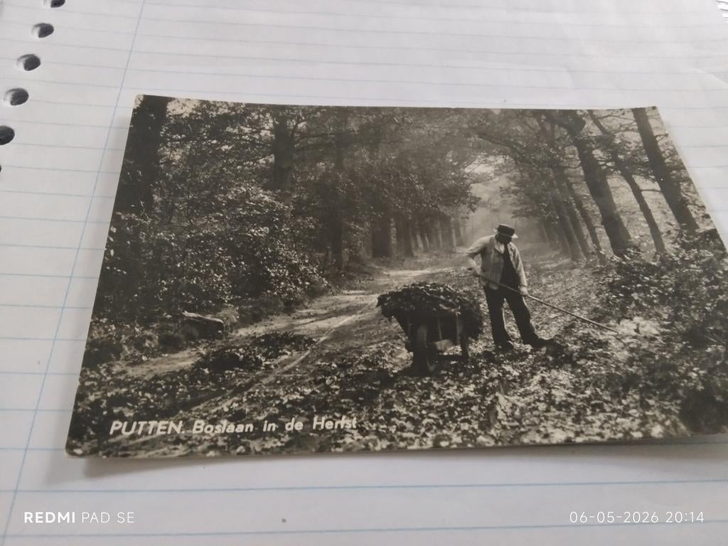 Oude zwart-wit fotoansichtkaart Putten Boslaan in de Herfst, Ophalen of Verzenden