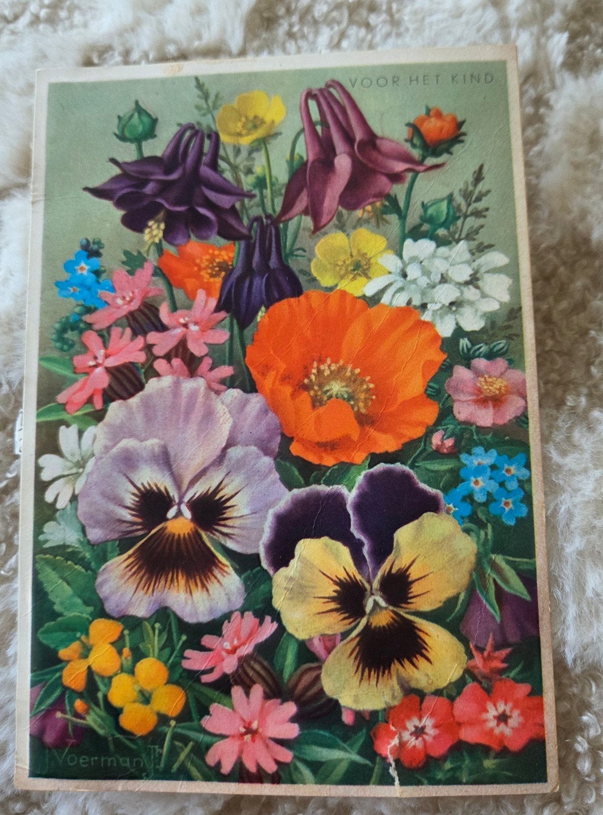 Bloemenpracht 'Voor het Kind', Verzamelen, Ansichtkaarten | Themakaarten, Verzenden, 1940 tot 1960, Gelopen, Overige thema's