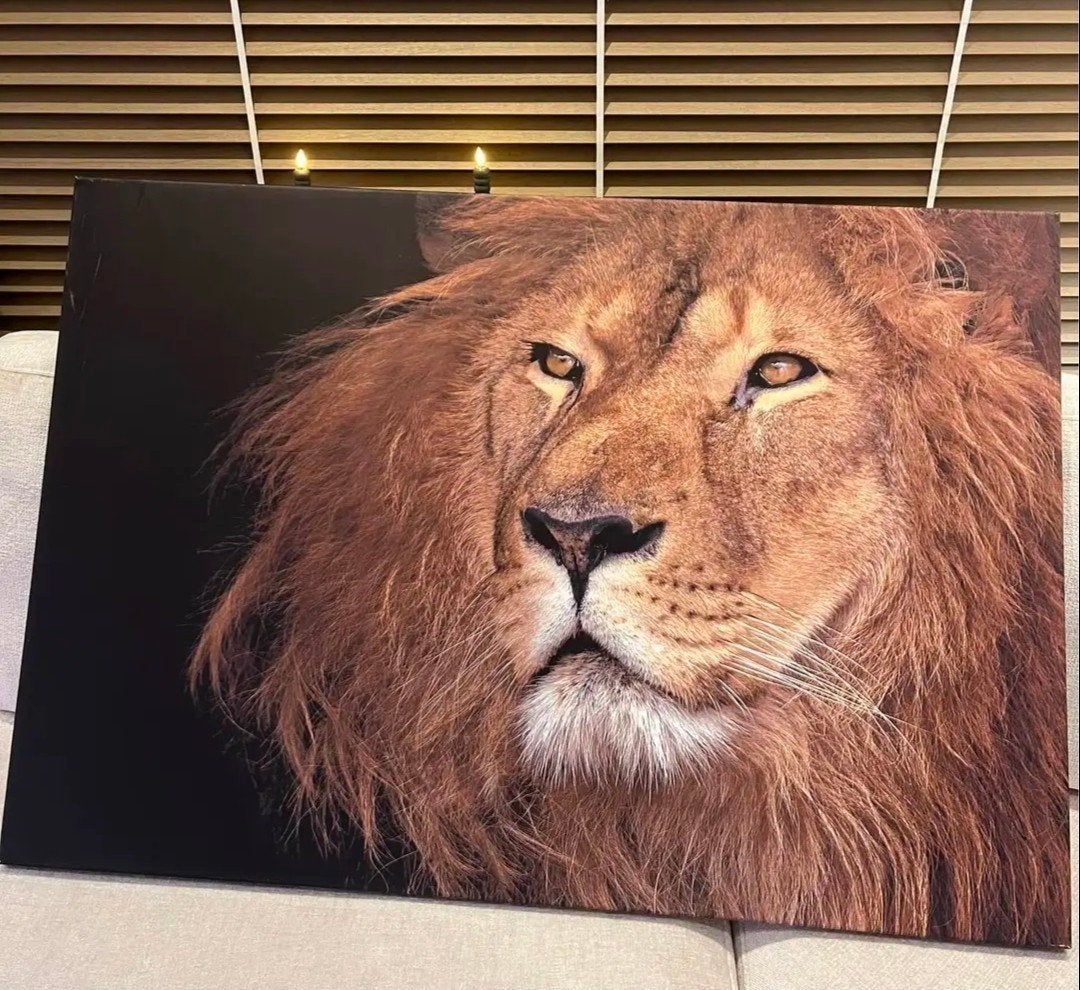 Leeuw Schilderij op Canvas, Antiek en Kunst, Doek, Realistisch, Dieren, Ophalen of Verzenden