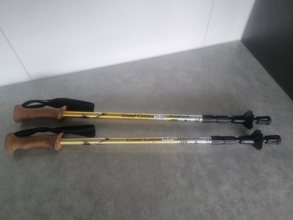 Nordic Walking stokken., Sport en Fitness, Bergsport en Wandelen, Ophalen of Verzenden, Zo goed als nieuw, Wandelstok