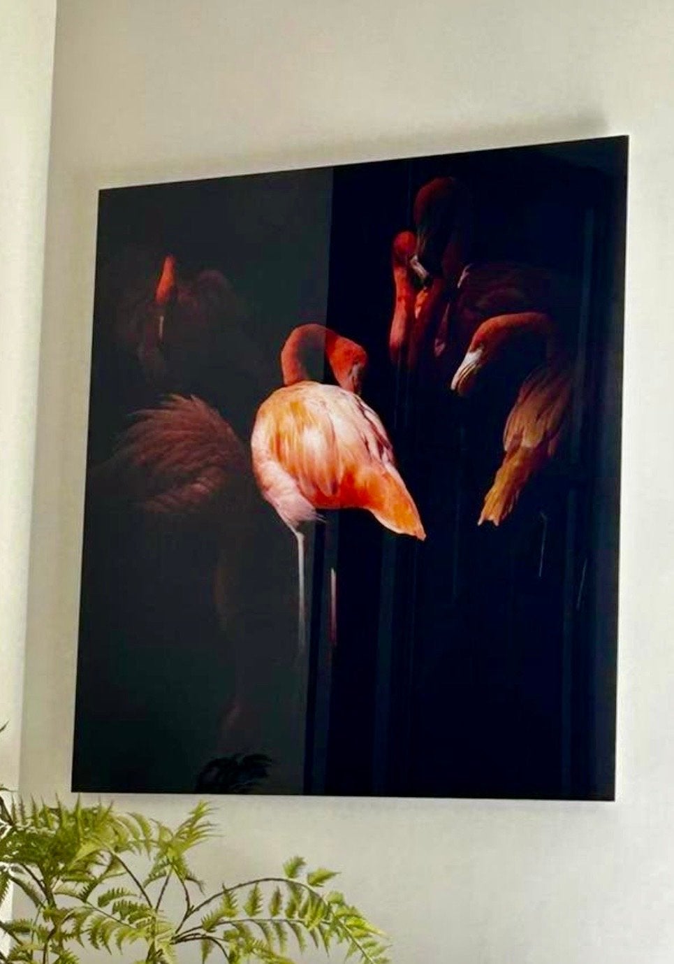 Prachtige Flamingo Schilderij op Plexiglas, Antiek en Kunst, Kunst | Schilderijen | Modern, Kunststof, Dieren, Print, Ophalen