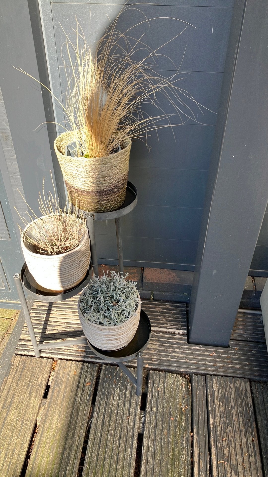 Plantenrekje inclusief 3 planten met bot, Tuin en Terras, Ophalen, Rond
