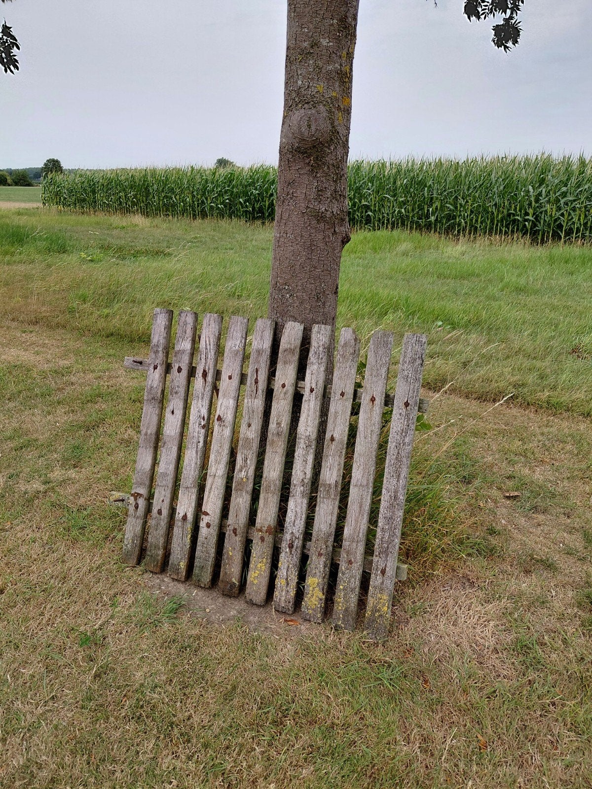 brocante hekwerk hout, Ophalen, Gebruikt, Hout, Sierhekwerk