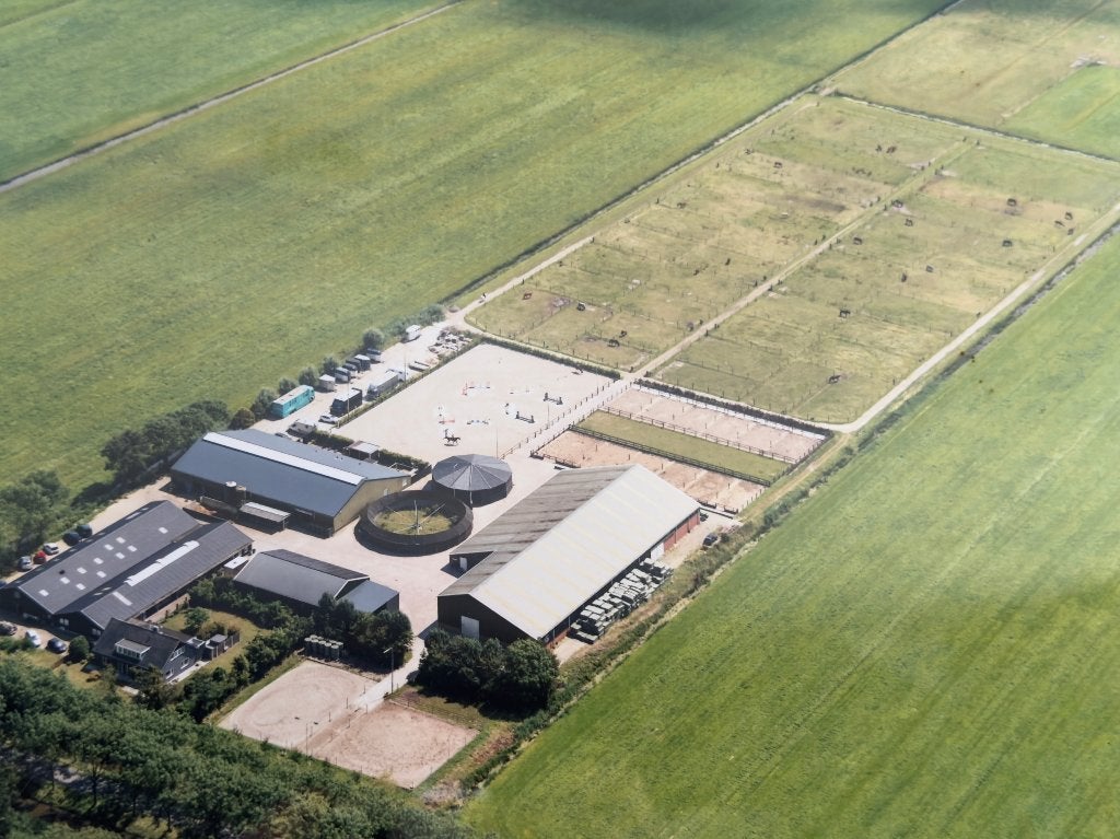 Stalling beschikbaar Purmerend/Zaanstad/Amsterdam, Weidegang, 4 paarden of pony's of meer
