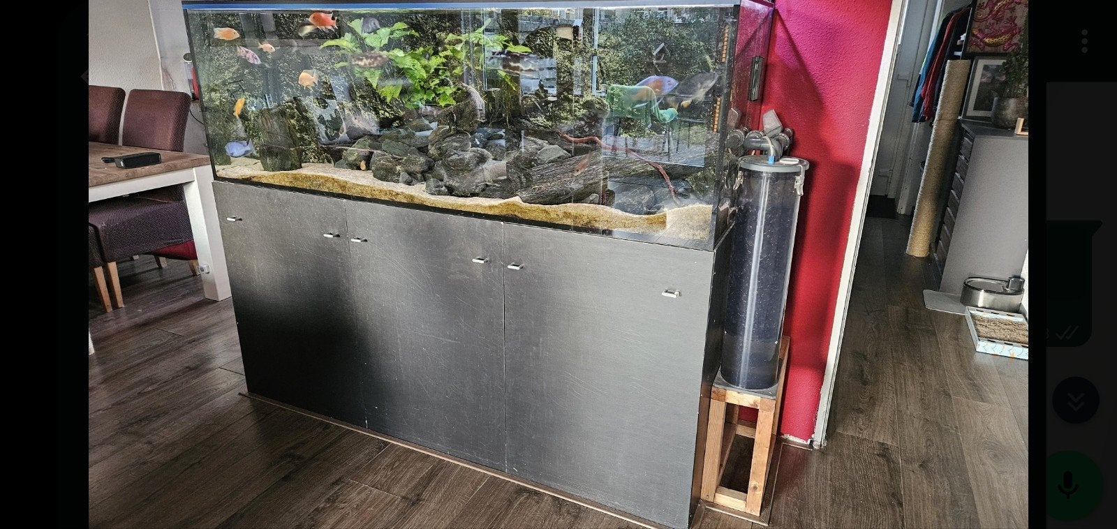 Malawi cichliden bestand en 180x60x60 aquarium met onderkast, Ophalen, Gebruikt, Gevuld zoetwateraquarium