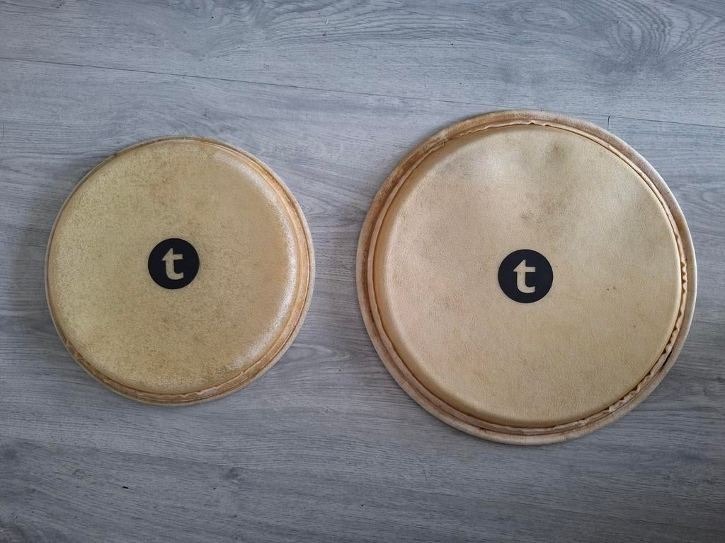 Nieuwe Conga vellen 10" en 11", Muziek en Instrumenten, Ophalen of Verzenden, Nieuw, Overige merken