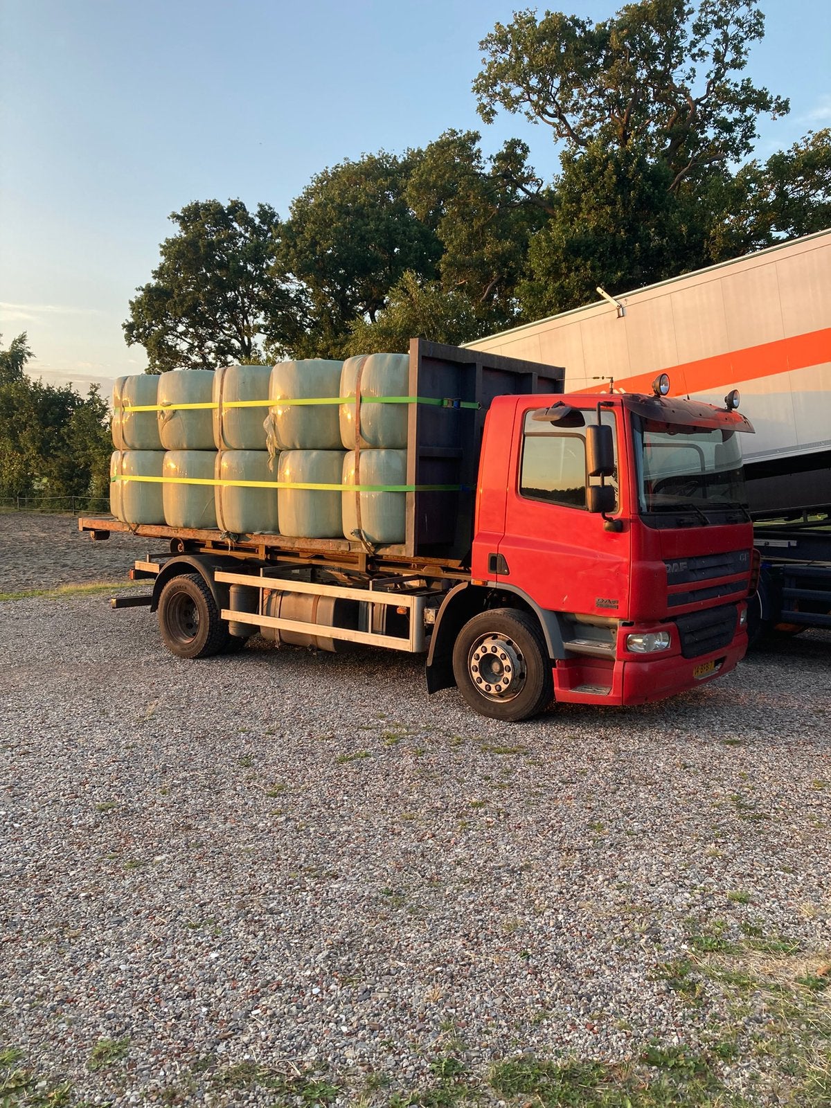Daf cf 310, Auto's, Vrachtwagens, Particulier, Ophalen