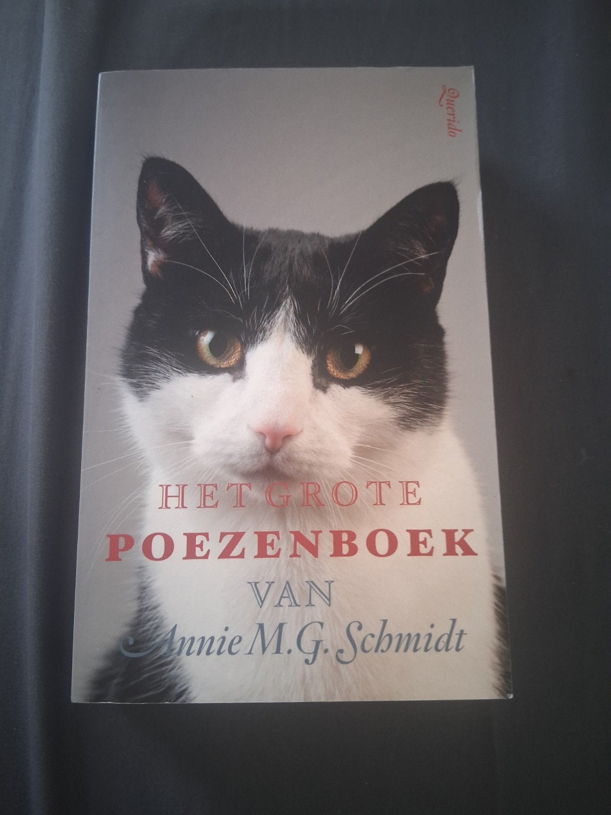 Het Grote Poezenboek van Annie M.G. Schmidt, Ophalen of Verzenden, Zo goed als nieuw, Overige onderwerpen, Annie M.G. Schmidt