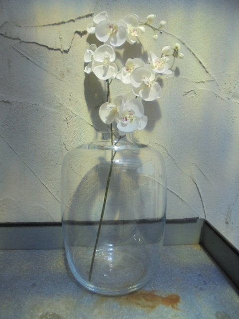 VAAS HELDER GLAS KARA 35 X DIA 25 CM NIEUW, -, -, Nieuw, Ophalen of Verzenden