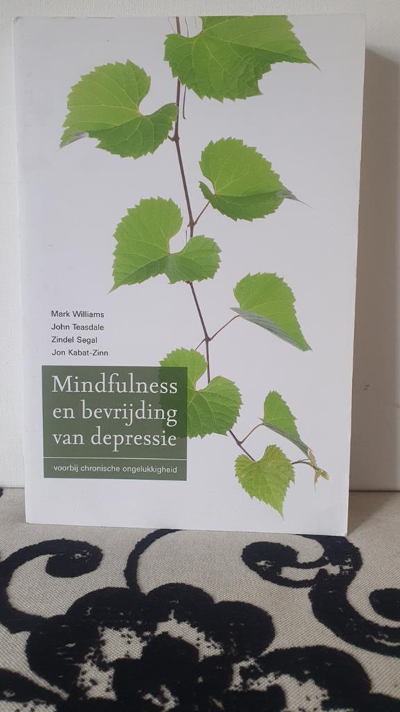 Mindfulness en bevrijding van depressie - Jon Kabat-Zinn, Ophalen of Verzenden, Gelezen, Mark Williams, John Teasdale, Zindel Segal, Jon Kabat-Zinn
