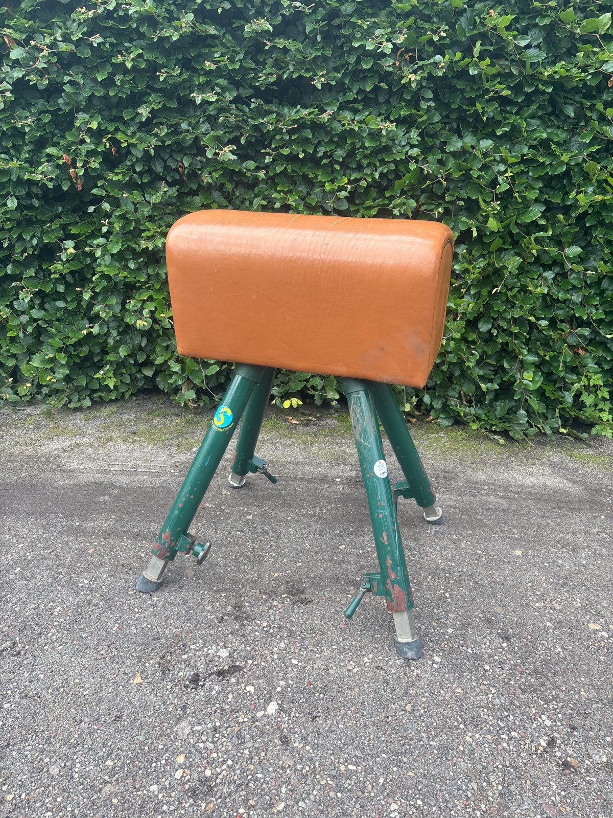 Vintage Turnbok - Decoratief en Functioneel, Sport en Fitness, Ophalen, Gebruikt