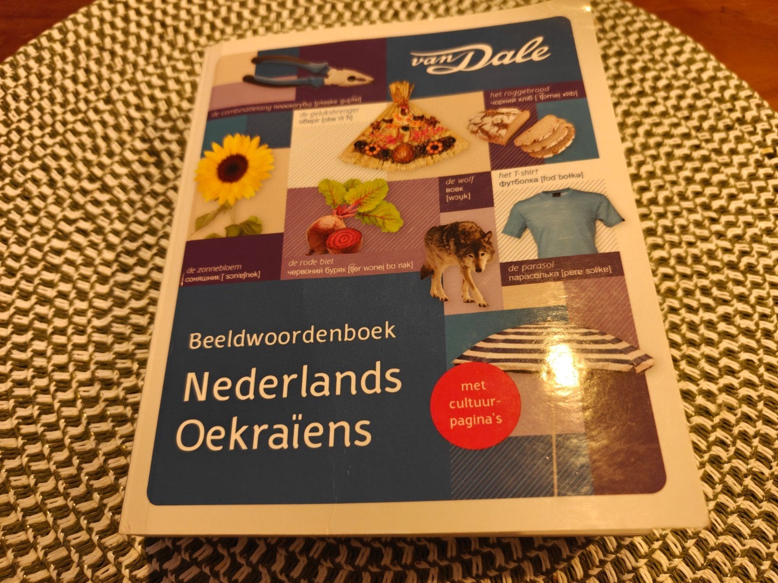 Van Dale Beeldwoordenboek Nederlands Oekraïens, Non-fictie, Van Dale, Ophalen of Verzenden, Zo goed als nieuw