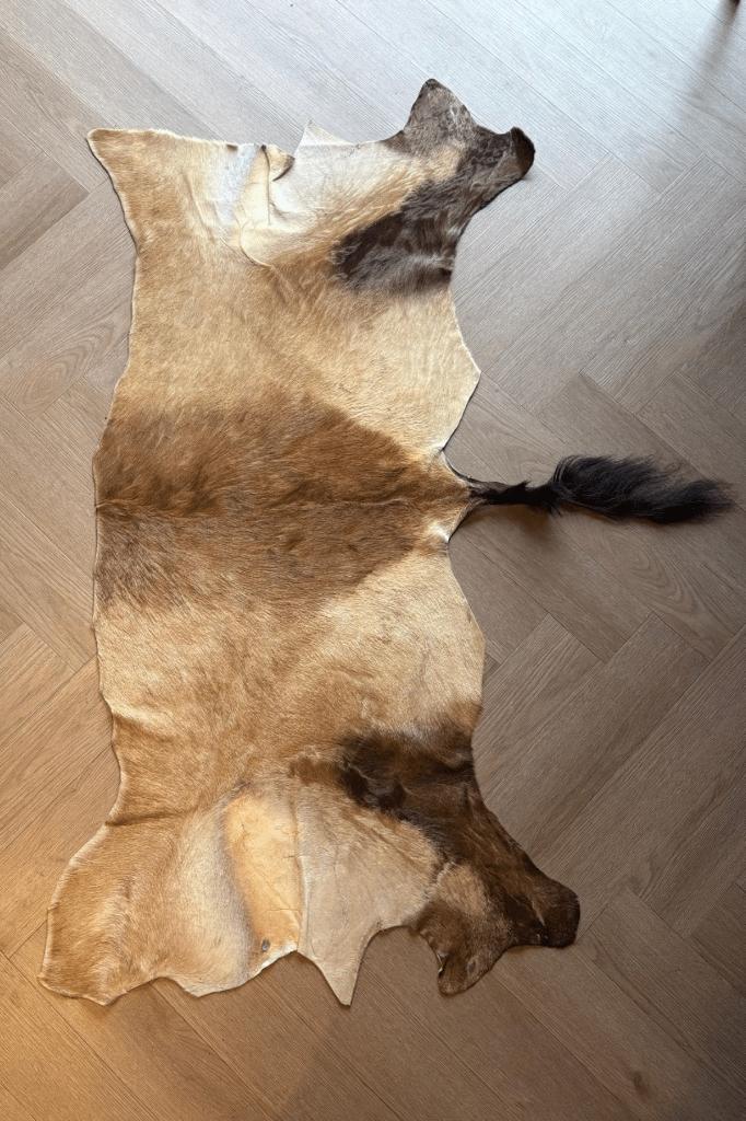 Hartebeest huid, Verzamelen, Ophalen of Verzenden, Nieuw, Overige soorten, Overige typen