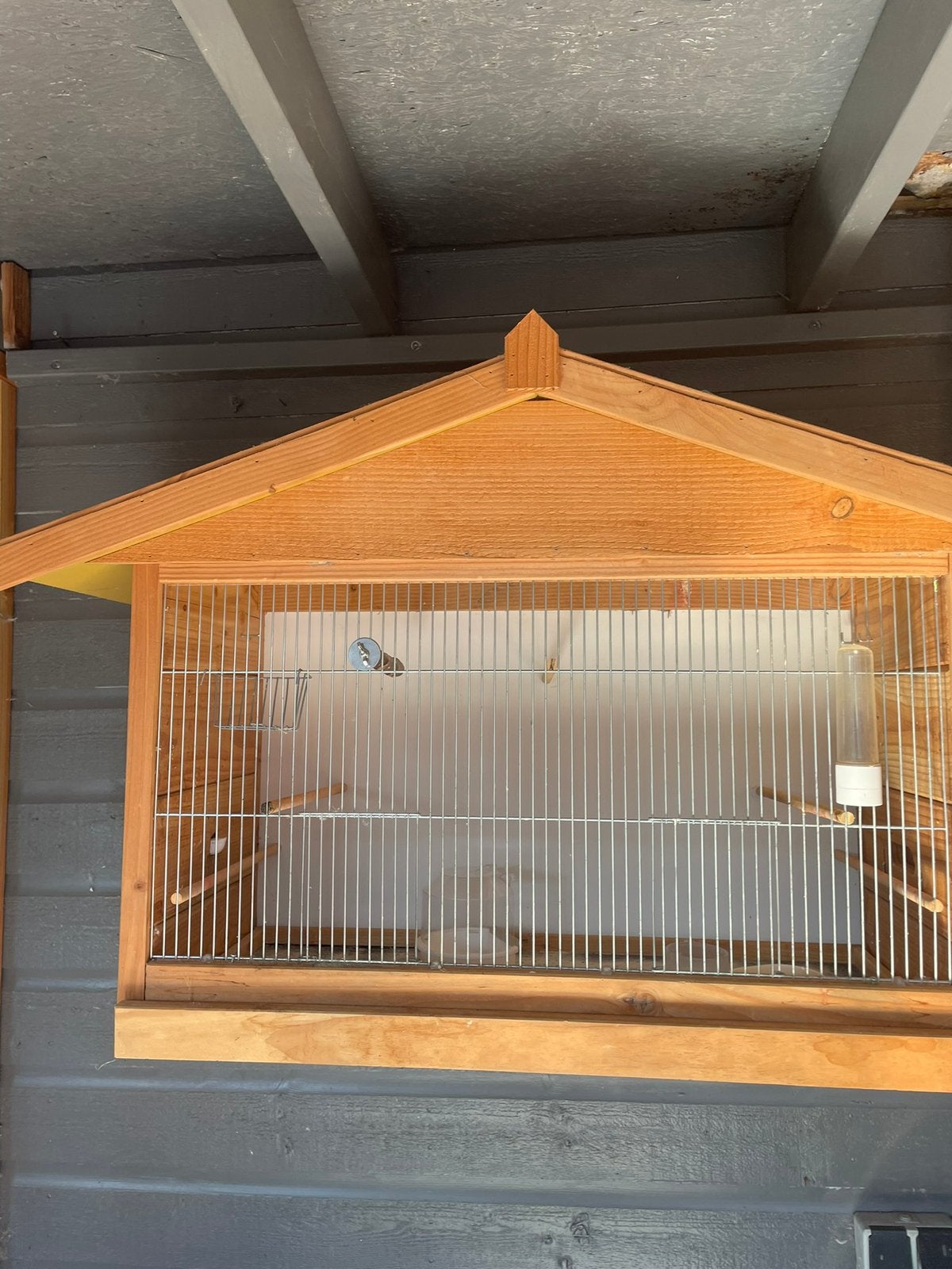 Luxe vogelkooi, Meerdere dieren