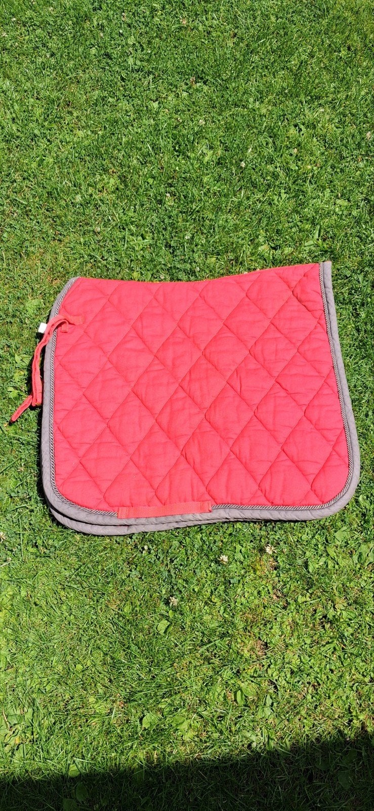 BR dressuur dekje maat pony, Dieren en Toebehoren, Katoen, Dressuurdekje, Rood, Ophalen of Verzenden